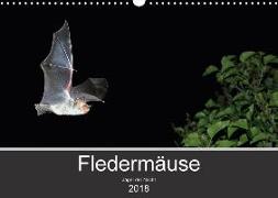 Fledermäuse - Jäger der Nacht (Wandkalender 2018 DIN A3 quer)