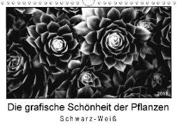 Die grafische Schönheit der Pflanzen - Schwarz-Weiß (Wandkalender 2018 DIN A4 quer)