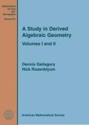 A Study in Derived Algebraic Geometry