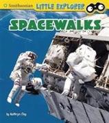 SPACEWALKS