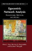 Egocentric Network Analysis