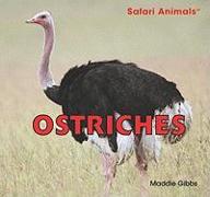 Ostriches