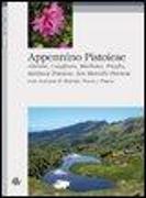 Appennino pistoiese