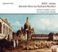 BACH anders-Barocker Glanz aus Sachsens Residenz