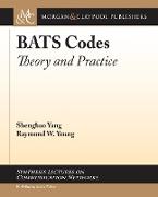 Bats Codes: Theory and Practice