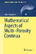 Mathematical Aspects of Multi¿Porosity Continua