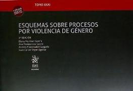 Esquemas sobre procesos por violencia de género