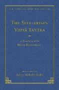 The Self-arisen Vidya Tantra (vol 1) and The Self-liberated Vidya Tantra (vol 2)