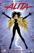 Battle Angel Alita Deluxe 5 (Contains Vol. 9 & Ashen Victor)