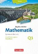 Bigalke/Köhler: Mathematik, Hessen - Ausgabe 2016, Grundkurs 3. Halbjahr, Band Q3, Schülerbuch