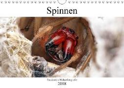 Faszination Makrofotografie: Spinnen (Wandkalender 2018 DIN A4 quer)