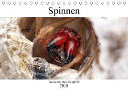 Faszination Makrofotografie: Spinnen (Tischkalender 2018 DIN A5 quer)