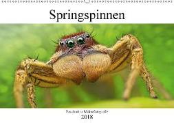 Faszination Makrofotografie: Springspinnen (Wandkalender 2018 DIN A2 quer)