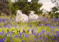 Schafe - Weich und wollig (Wandkalender 2018 DIN A4 quer)