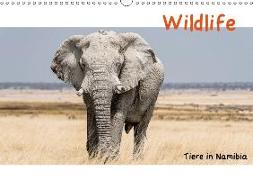 Wildlife - Tiere in Namibia (Wandkalender 2018 DIN A3 quer)