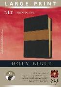 Personal Size Large Print Bible-NLT