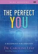 The Perfect You - A Blueprint for Identity