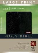 Large Print Bible-NLT-Compact