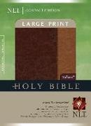 Large Print Bible-NLT-Compact