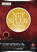 Study Bible-NLT