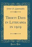 Thirty Days in Lithuania in 1919 (Classic Reprint)