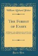 The Forest of Essex