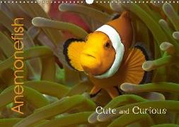 Anemonefish (Wall Calendar 2018 DIN A3 Landscape)