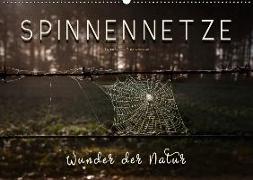 Spinnennetze - Wunder der Natur (Wandkalender 2018 DIN A2 quer)