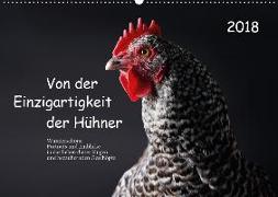 Von der Einzigartigkeit der Hühner (Wandkalender 2018 DIN A2 quer)