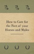 How to Care for the Feet of Your Horses and Mules