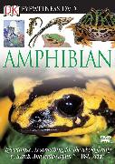 Eyewitness DVD: Amphibian