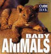 Baby Animals