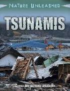 Tsunamis