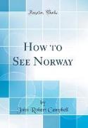 How to See Norway (Classic Reprint)