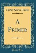 A Primer (Classic Reprint)