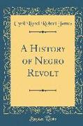 A History of Negro Revolt (Classic Reprint)