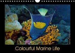 Colourful Marine Life (Wall Calendar 2018 DIN A4 Landscape)