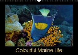 Colourful Marine Life (Wall Calendar 2018 DIN A3 Landscape)