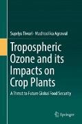 Tropospheric Ozone and its Impacts on Crop Plants