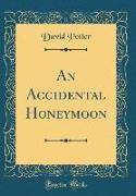 An Accidental Honeymoon (Classic Reprint)