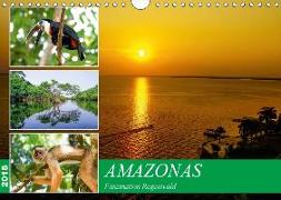 Amazonas - Faszination Regenwald (Wandkalender 2018 DIN A4 quer)
