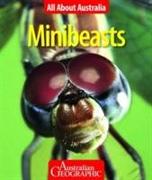 All About Australia: Minibeasts