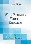 Wild Flowers Worth Knowing (Classic Reprint)