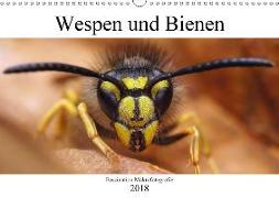 Faszination Makrofotografie: Wespen und Bienen (Wandkalender 2018 DIN A3 quer)