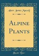 Alpine Plants (Classic Reprint)