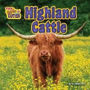 Highland Cattle