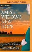 Amish Widow's New Hope