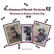 The Adventures of Pharaoh, the Service Dog: My Journey to Become a Service Dog