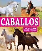 Caballos