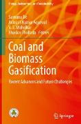 Coal and Biomass Gasification